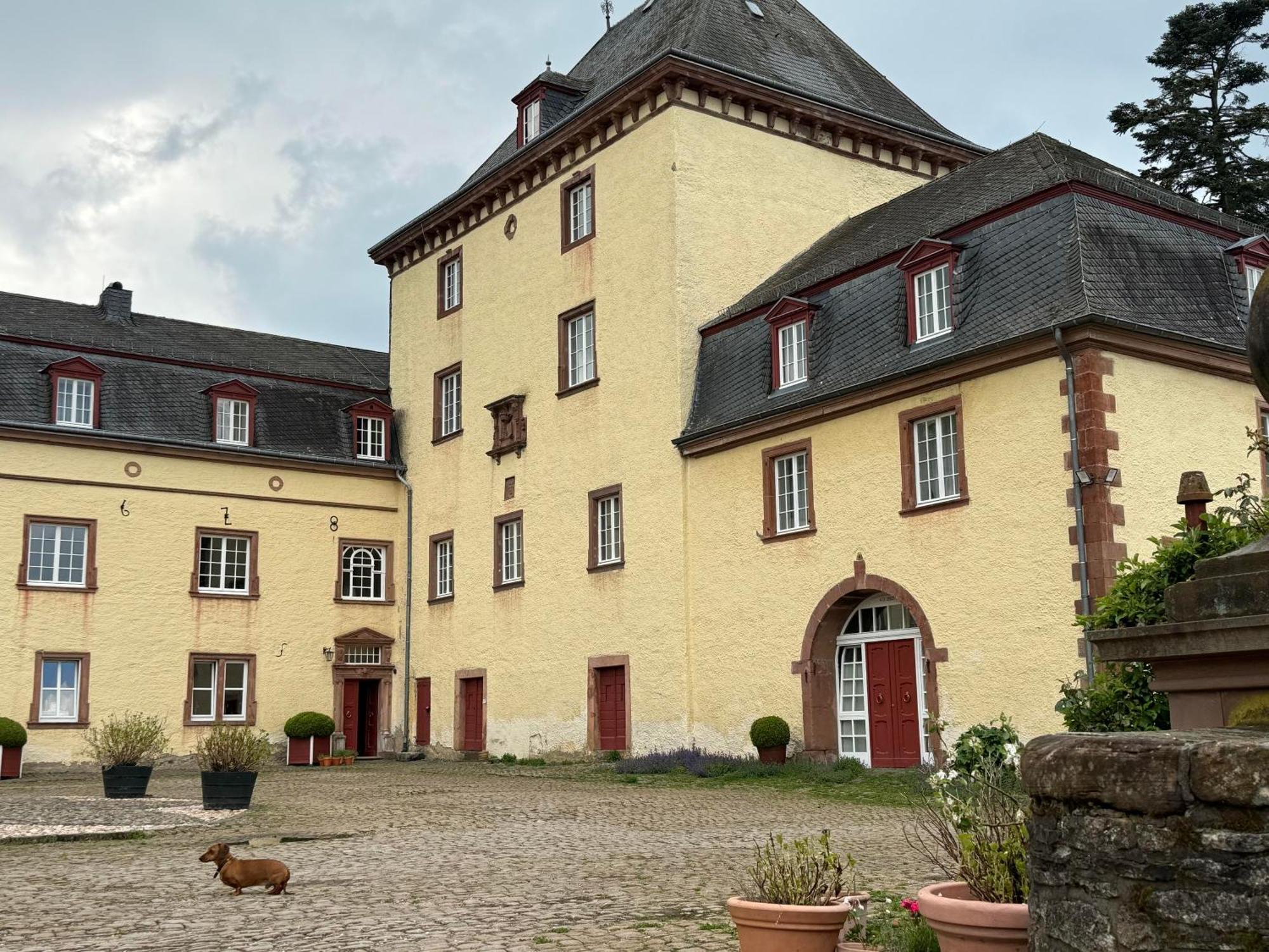 L' Extravagante Im Garten Von Schloss Schmidtheim ภายนอก รูปภาพ